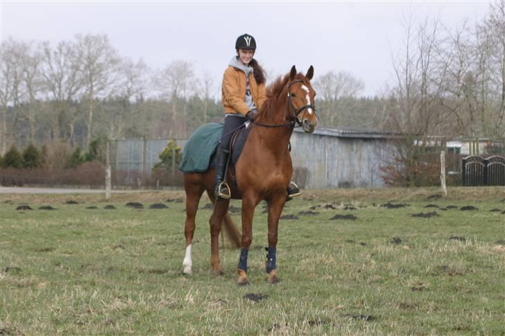 Anden særlig race Thea billede 6