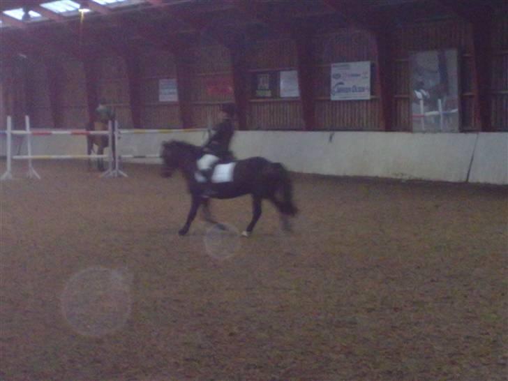 Anden særlig race Asterix;) - Her er vi så i en skråt igemmen:-) billede 9