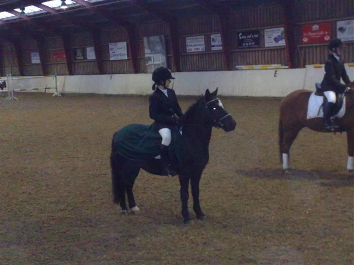 Anden særlig race Asterix;) - præmie-overrækkelse;D billede 6