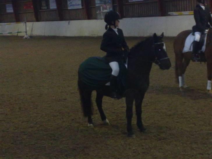 Anden særlig race Asterix;) - skal jeg nu stå stille? billede 7