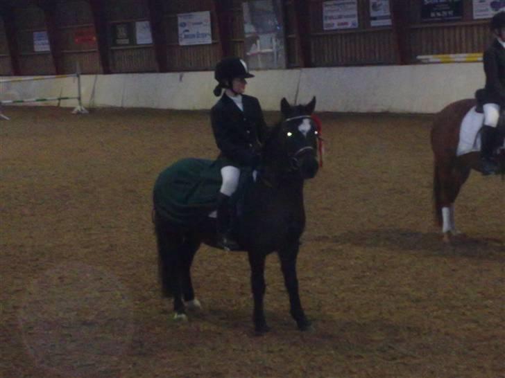 Anden særlig race Asterix;) - se min roset den klæ´r migXD billede 5