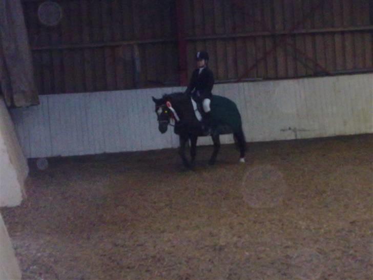 Anden særlig race Asterix;) - Vi er meget træte:-) billede 8