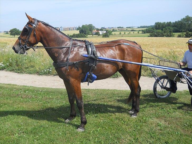 Traver Robin Faust - Robin og birger køre en tur i det gode vejr Foto: Mig billede 5