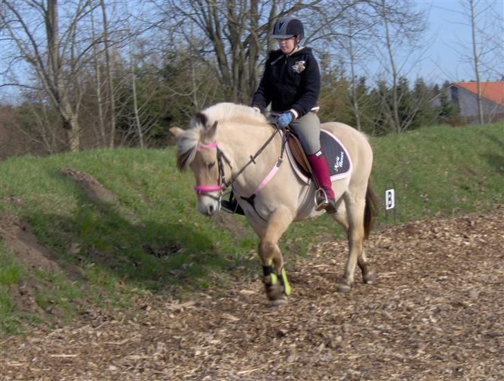 Fjordhest Nette <3 (mor til Molli) •himmelpony• - mig og dejlige nette<3 billede 8