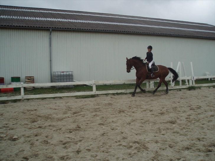 Anden særlig race Fanta - Galop, galop:D Foto Mor billede 2