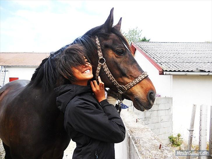 Dansk Varmblod Traneenggårds Aspecada billede 12