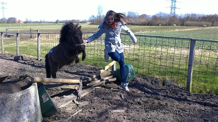 Anden særlig race Krumme(':<3  billede 10