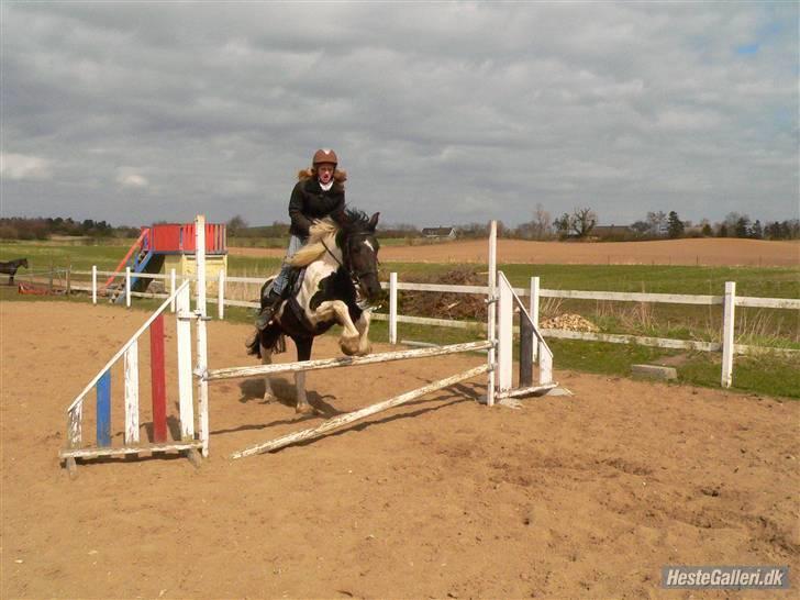 Barockpinto La Santa ¤ solgt ¤ :'( - Du er alt for fantastisk (savnet) billede 15