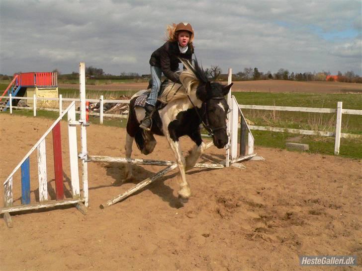 Barockpinto La Santa ¤ solgt ¤ :'( - Du er alt for fantastisk (savnet) billede 18