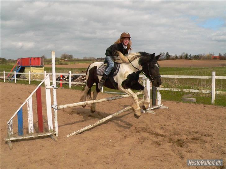 Barockpinto La Santa ¤ solgt ¤ :'( - Du er alt fo fantastisk (savnet) billede 19