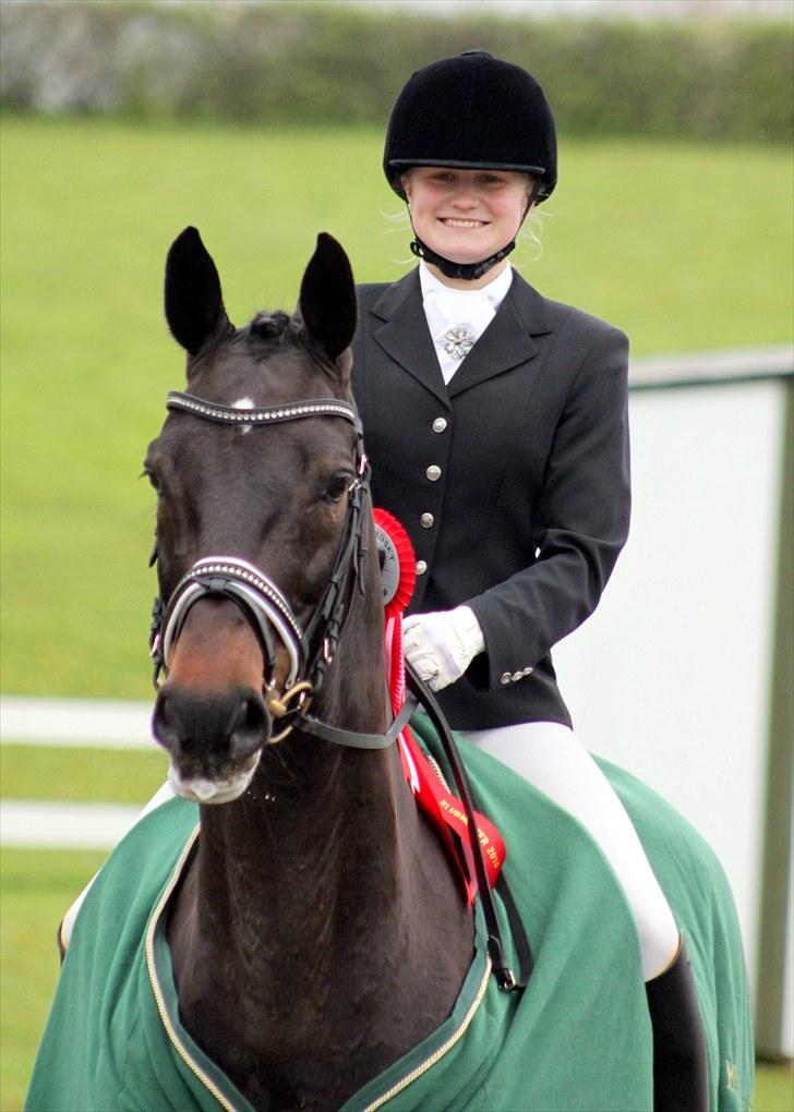 Holstener Licairo SOLGT - Klubmester SIV 2010 billede 1