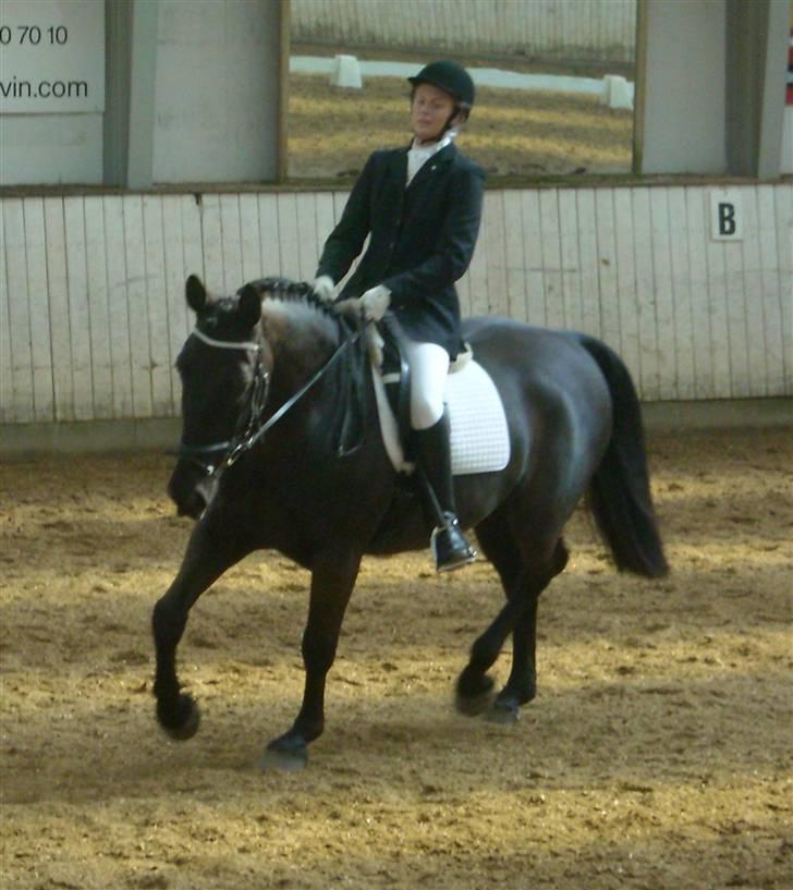 Oldenborg Bacardi Kærgård (STJERNEN - Stævne den 10/4-10 i SIR,  billede 14