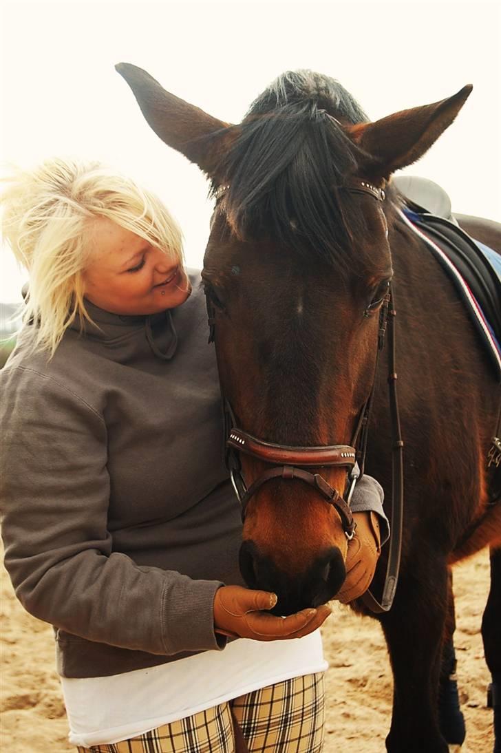 Dansk Varmblod Mathilde billede 19