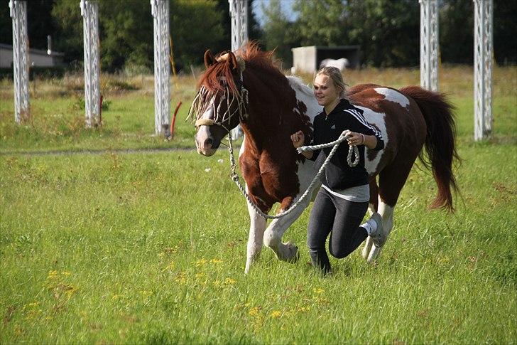Pinto Martell <3 - Tidl. part. - Martell og jeg deler en løbende stund tæt op ad hinanden med et stort smil. Synkront endda. Ih hvor vi da kan. ;)| Fotograf: MC - 28.08.10 | billede 6