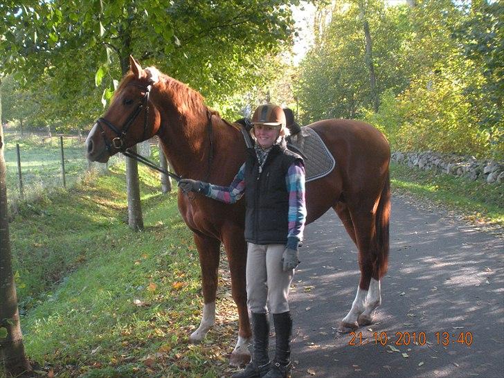 Oldenborg Kubriano langmose billede 17