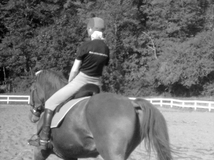 Oldenborg Kubriano langmose - 2 ugers ridning billede 13