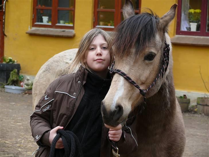 Welsh Pony (sec B) Fanny<3 Tidl part :'(! - mig og Fanny billede 4