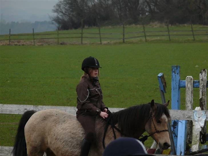 Welsh Pony (sec B) Fanny<3 Tidl part :'(! - vi skridter lidt rundt på banen billede 6