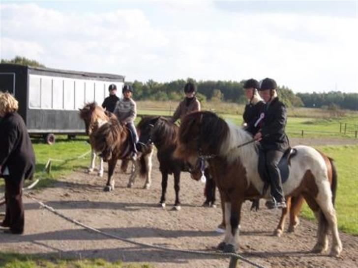 Islænder Lülli fra Krossi R.I.P  - #14. Lülli til stævnet blive nr 4  billede 12