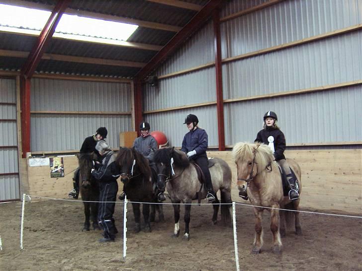 Islænder Lülli fra Krossi R.I.P  - #16. lülli til kaffegang billede 14