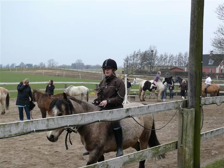 Welsh Pony (sec B) Fanny<3 Tidl part :'(! - elsker dig fanny<3333 billede 9
