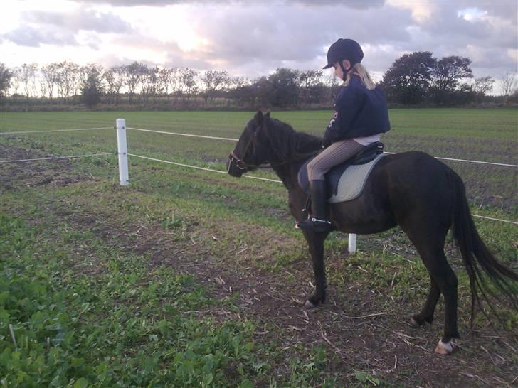 Anden særlig race Sally af Hedegaarden RIP billede 16