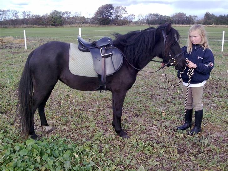 Anden særlig race Sally af Hedegaarden RIP billede 18