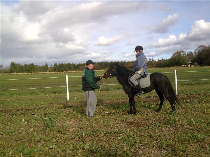 Anden særlig race Sally af Hedegaarden RIP billede 19