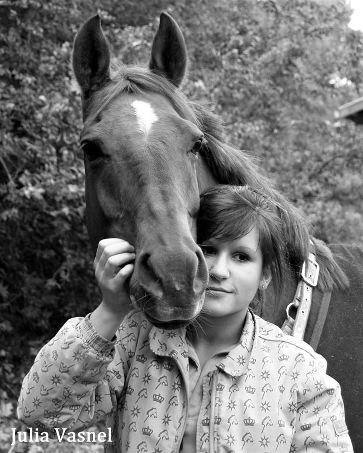 Tysk Sportspony Nerle solgt billede 10