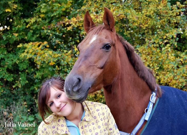 Tysk Sportspony Nerle solgt billede 13