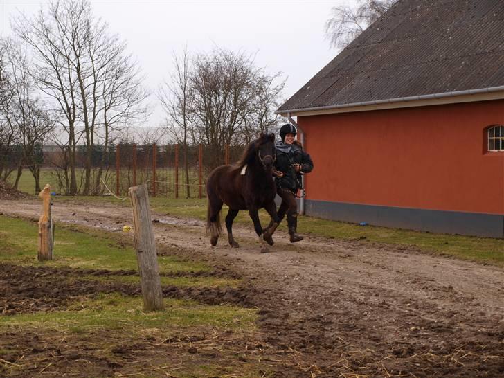 Anden særlig race Cirkeline - Cirkeline viser sin smukke trav sammen med Josefine ;D   Foto: Mig/Signe Vilain.  billede 17