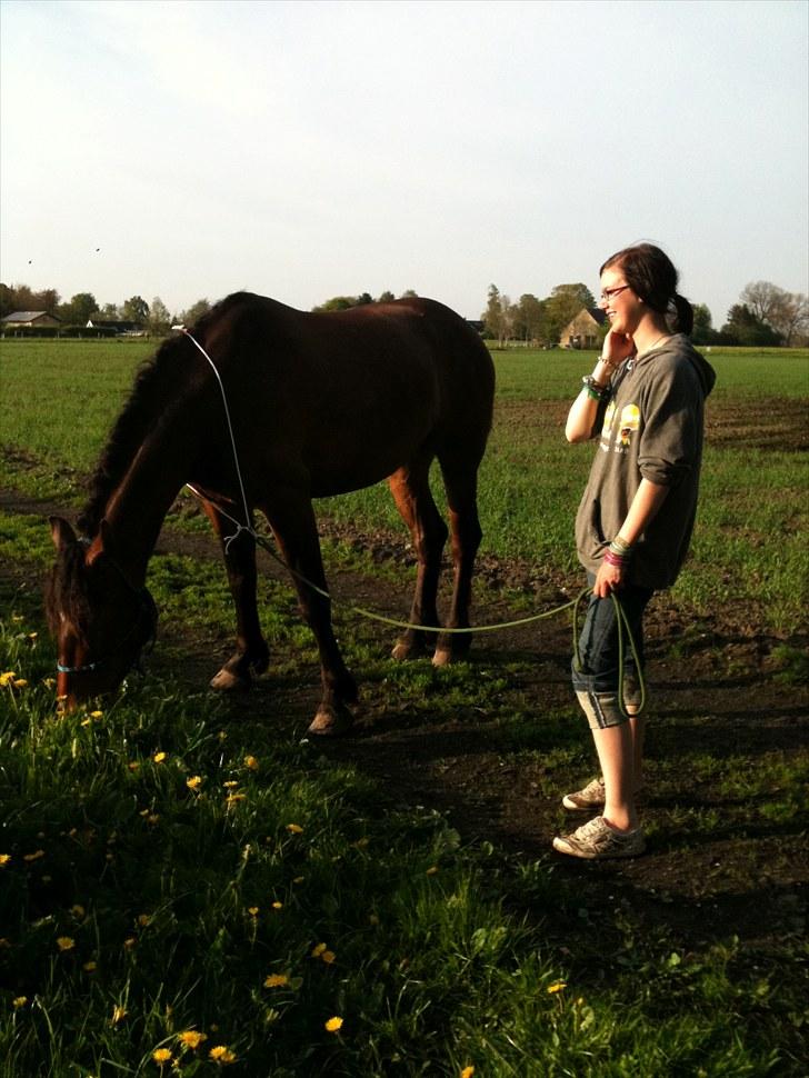 Anden særlig race Ferdinan billede 12