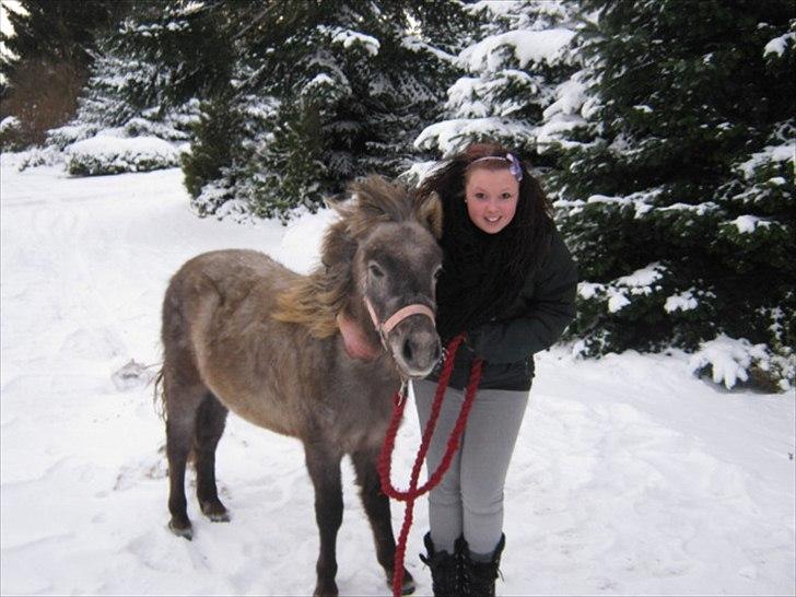 Anden særlig race Breaking Dawn * solgt :' * - halløj ;3 billede 1