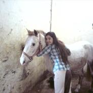 Anden særlig race Melissa