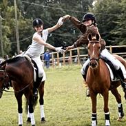 Anden særlig race Funny Face (gamle part):`