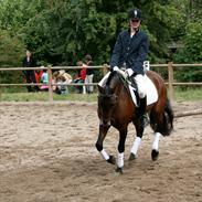 Anden særlig race Funny Face (gamle part):`