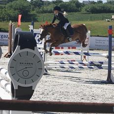 Welsh Pony af Cob-type (sec C) keizer´s little lady