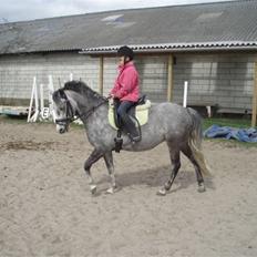 Anden særlig race Gnist <3