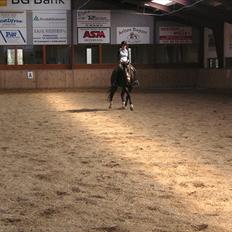 Anden særlig race Millenium Pride