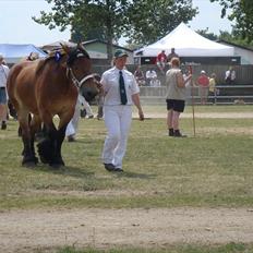 Belgier Amalia Bomlund