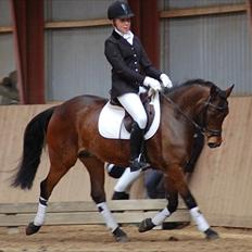 Anden særlig race Bounty <3 SOLGT