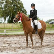 New Forest Lysagers Brandy *solgt*