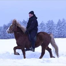 Islænder Blesa fra Efri-gegnishólu