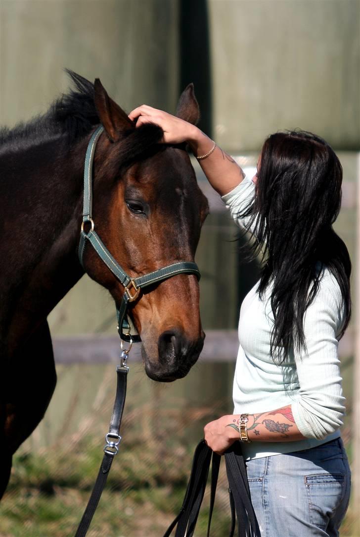 Fuldblod (XX) Mufasa *R.I.P* - Mors dreng billede 12