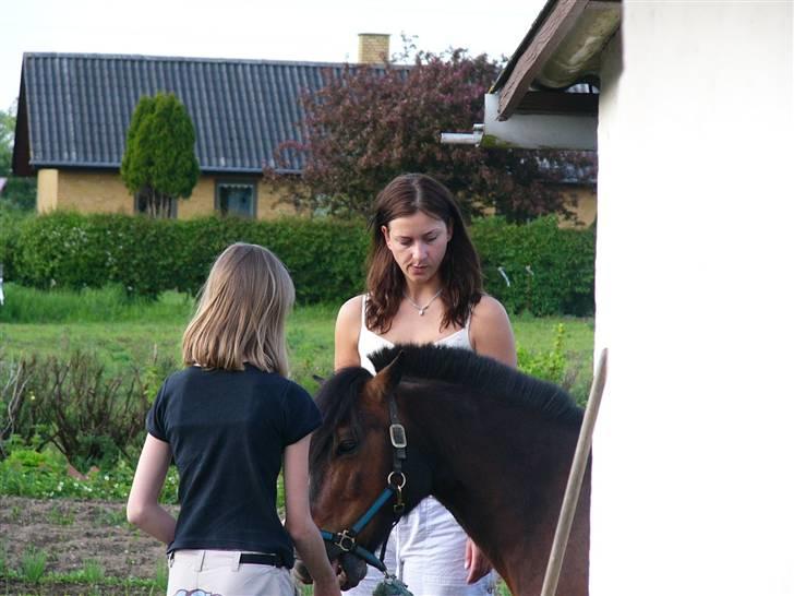 Anden særlig race prins bruno - mig og min søs lige da jeg havde fået bruno billede 5