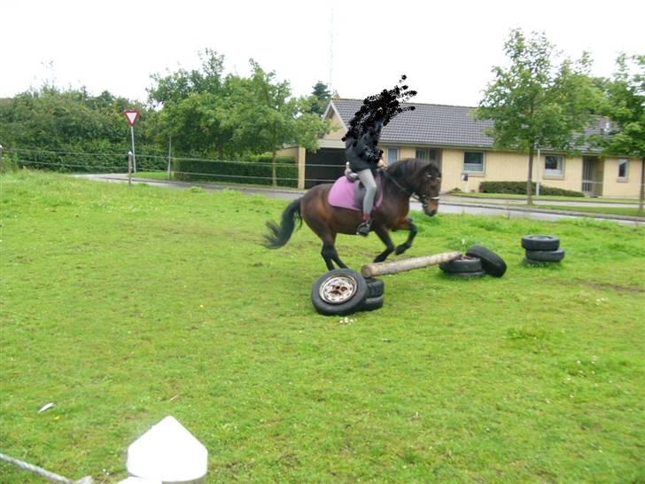 Anden særlig race prins bruno billede 9