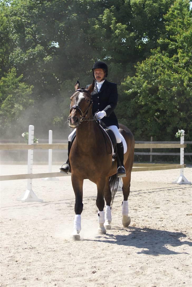 Anden særlig race Hector - her er min forlovede på min lille hest til stævne sommeren 2008 billede 13