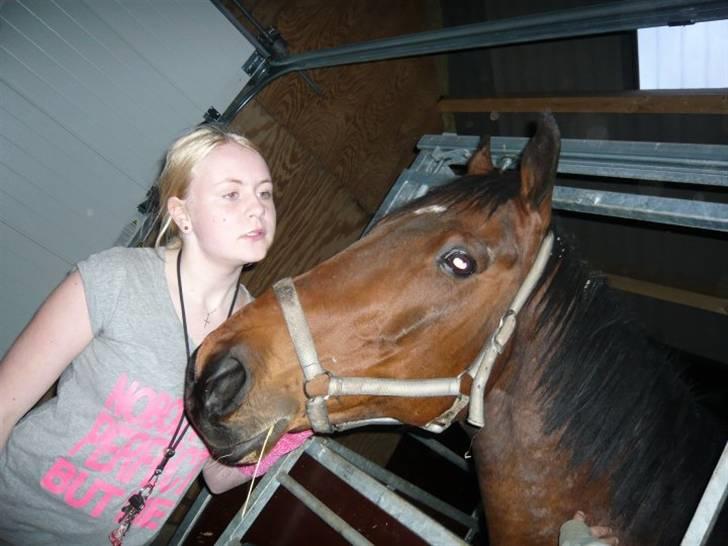 Anden særlig race HHE's Vanity - Knapt så godt billede XD Men jeg er med n_n Fotograf: Cille <3 billede 8