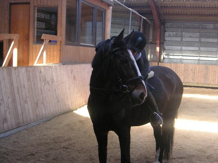 Anden særlig race Millenium Pride - Du er skøn <3 Foto: Kate Hammer Jakobsen. billede 1