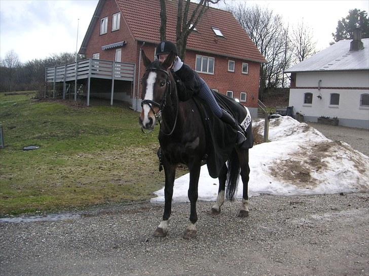 Anden særlig race Millenium Pride - En skridttur :D. Foto: Kate Hammer Jakobsen. billede 6